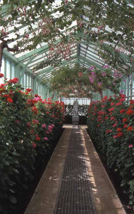 greenhouse interior